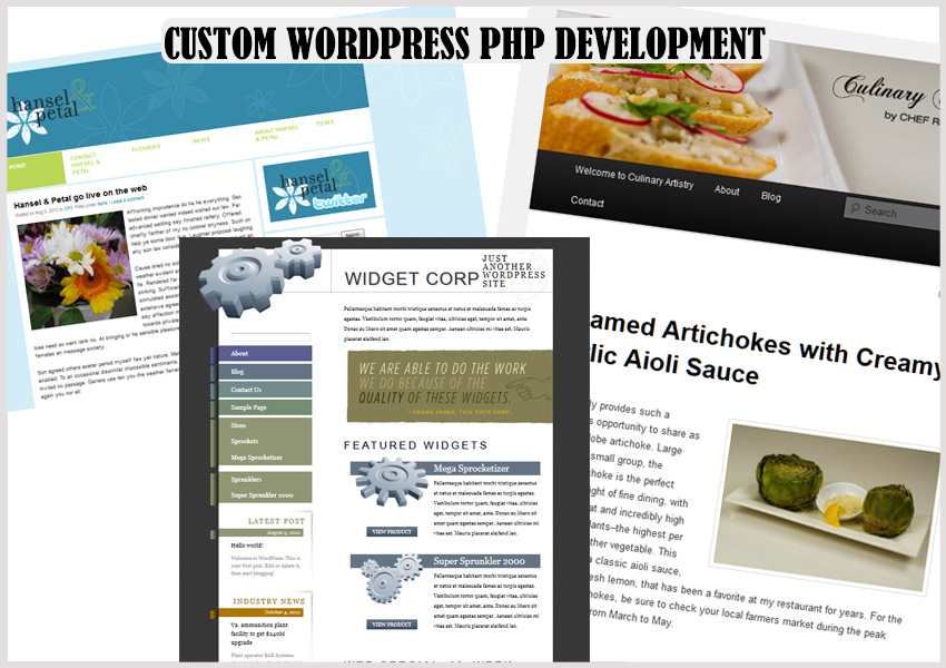 Custom WordPress PHP Development